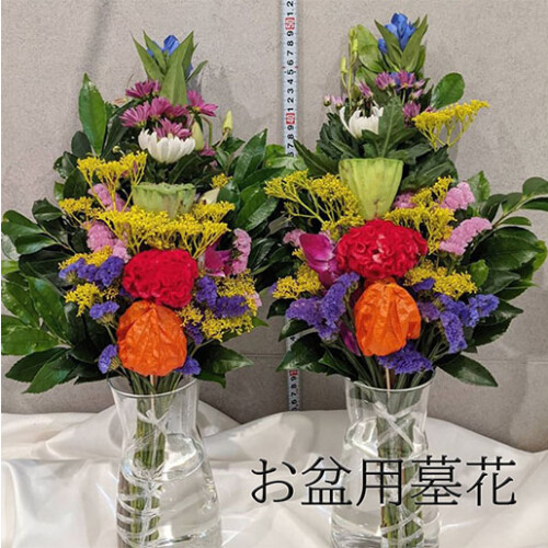 noendflower-se02